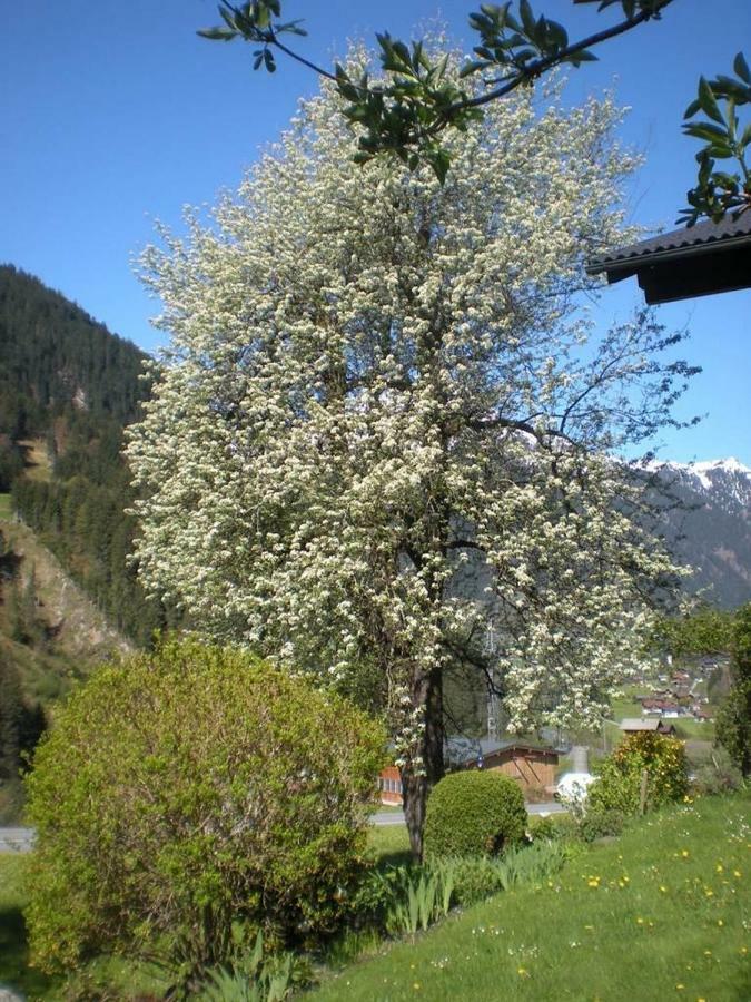 Haus Gant Appartement Sankt Gallenkirch Buitenkant foto